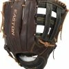 11.75 Inch Easton Flagship Series Adult Infield Baseball Glove FS-D33 -baseball Sales easton flagship series 1175 inch adult infield baseball glove fsd33 8